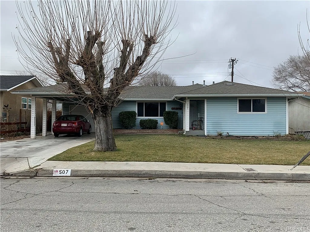 Pauley — Photo 1