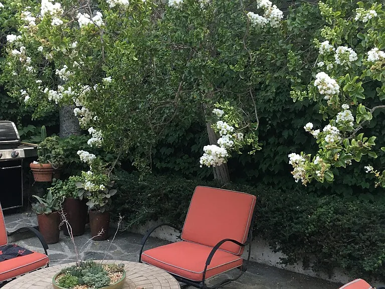 Morella Ave — Photo 18