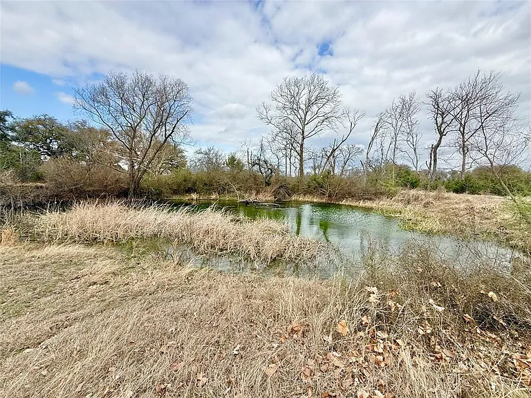 2501 County Road 228 — Photo 3