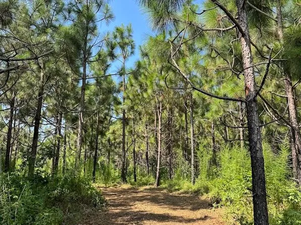 Highway 19 N, Collinsville, MS 39325