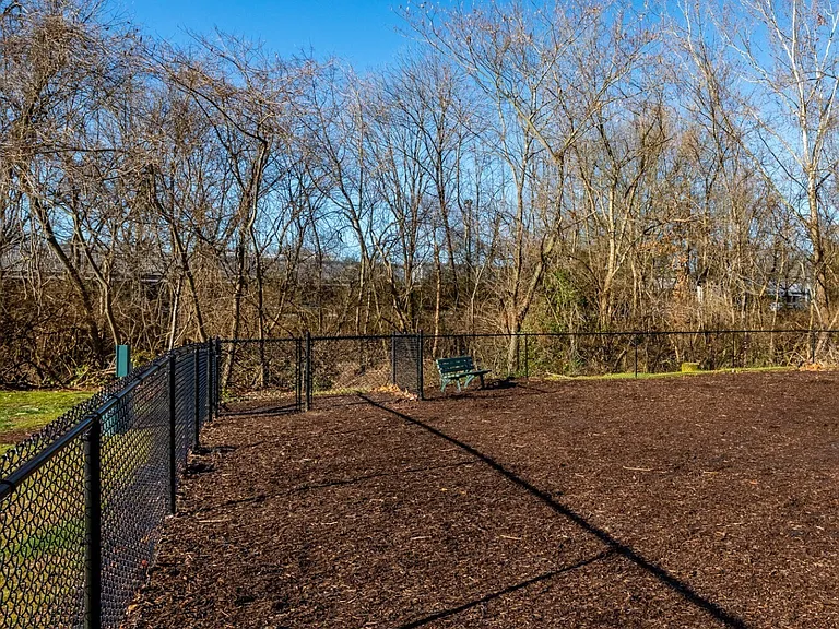 Dog Park