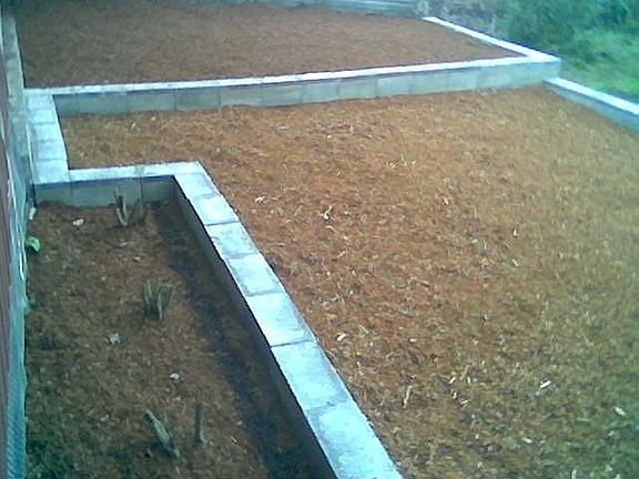 Garden area with Blueberry bushes