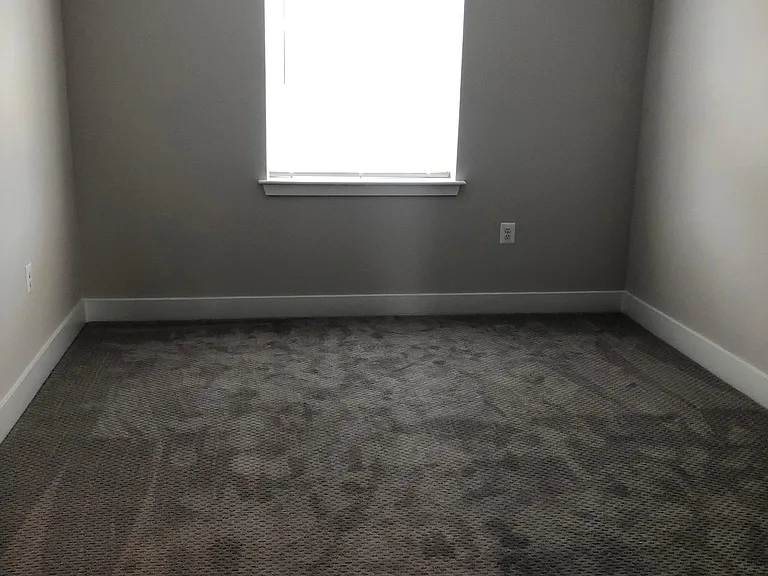 713 Park Ave #D — Photo 17