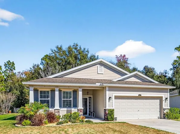 808 Bronze Bush Ct, Plant City, FL 33566