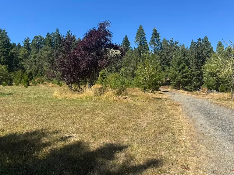 Harry Taylor Rd — Photo 4