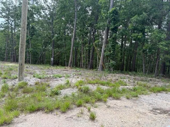 14 Soltar Cir, Hot Springs Village, AR 71909