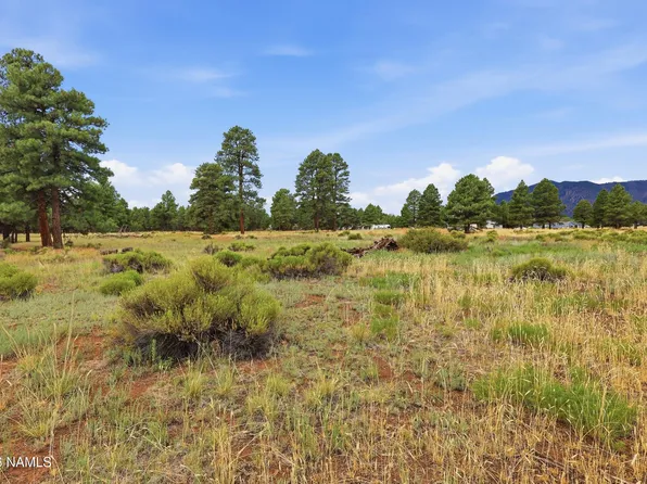 6314 E Burris Ln, Flagstaff, AZ 86004