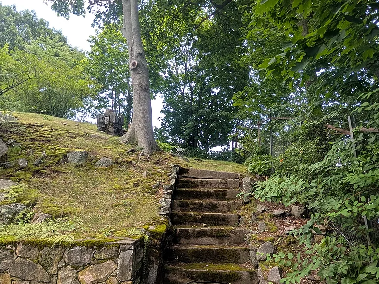 Elevated back yard