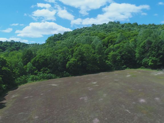 4th image of 4570 Pointer Creek Rd