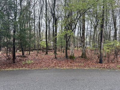 Birch Ln #A30, East Stroudsburg, PA, 18302