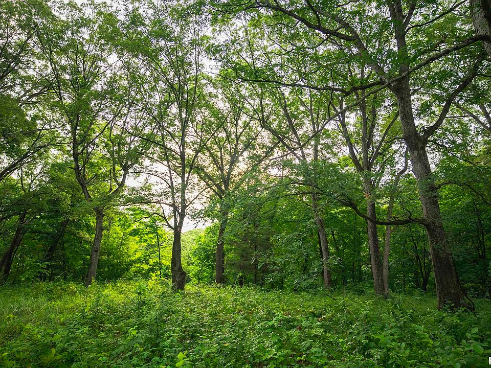 13th image of this home