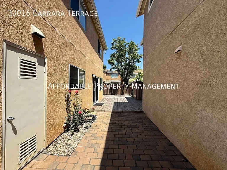 33016 Carrara Ter — Photo 25