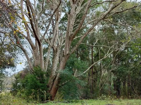 965 S Sally Ter #24, Inverness, FL 34452