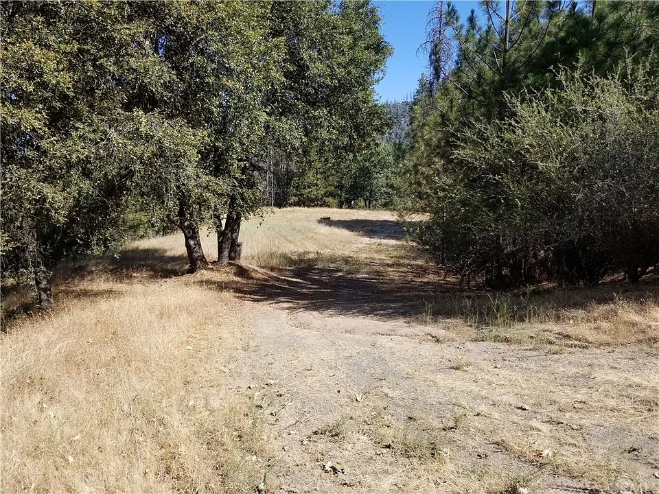 1st image of 2415 Conifer Ln