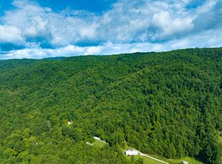 A Portion Of 1106 Sherm Mountain Rd, Sneedville, TN 37869