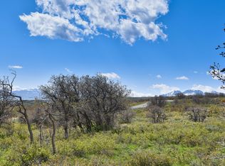 1115 Cornerstone Loop, Montrose, CO 81403