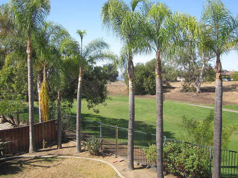 38129 Augusta Dr — Photo 15