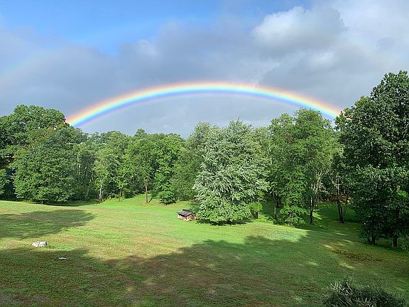 The view from the patio