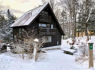 8 Silverstein Ln, Ludlow, VT 05149