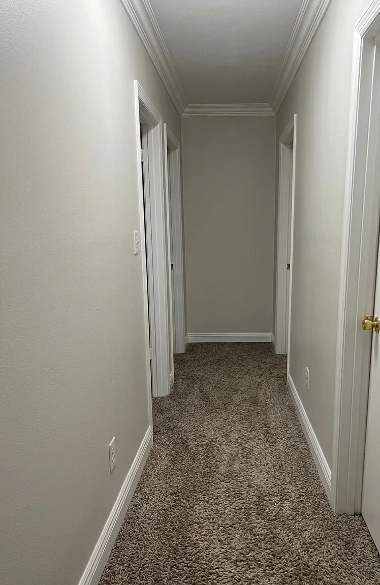 3 bed, 1.5 bath, 1250 sqft, $1,125 — Photo 4