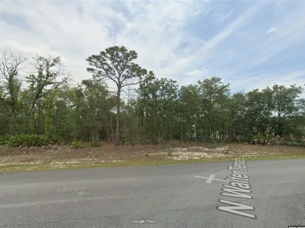 6251 N Walter Ter, Citrus Springs, FL 34434