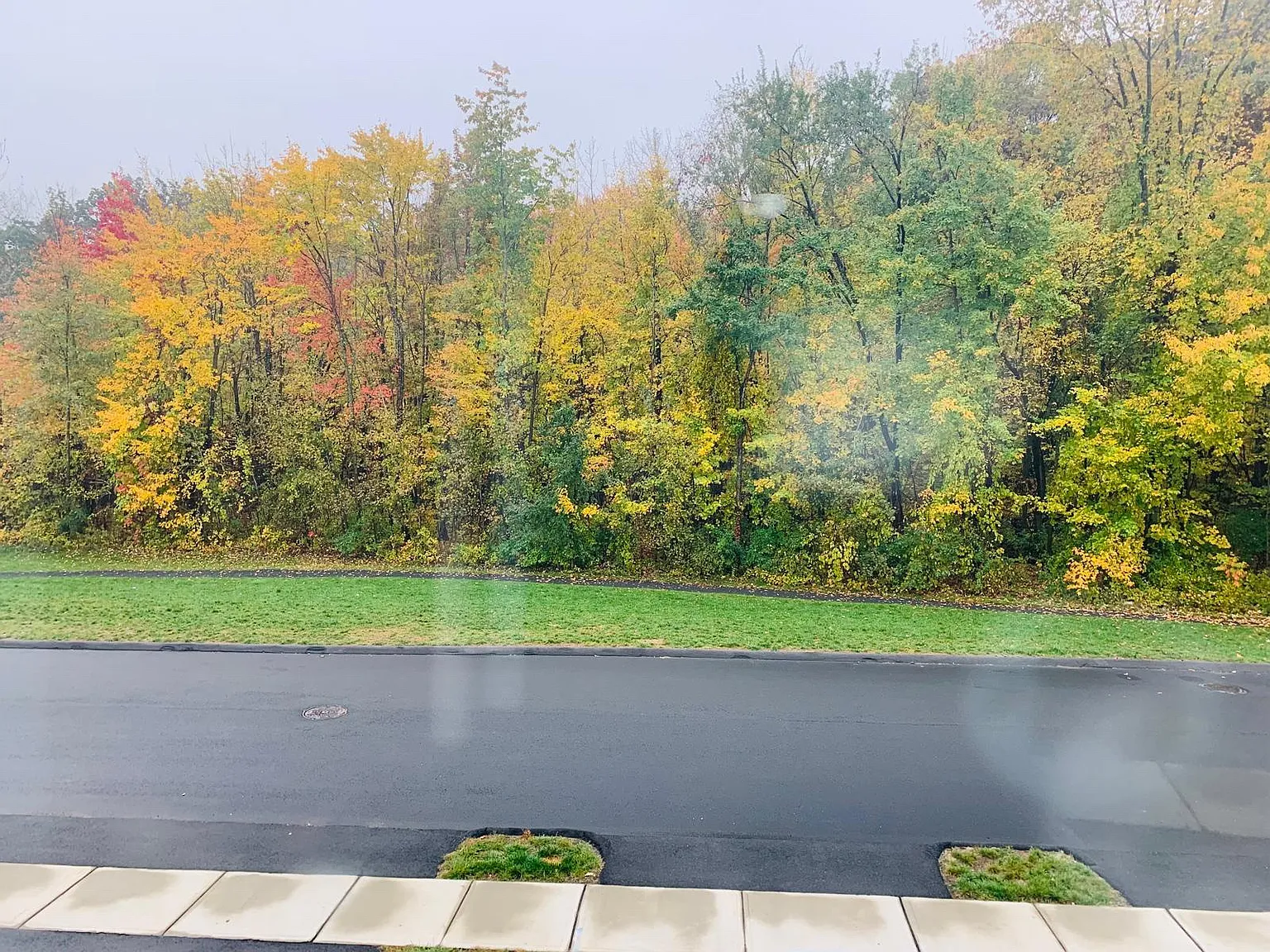 58 Lexie Ln — Photo 4