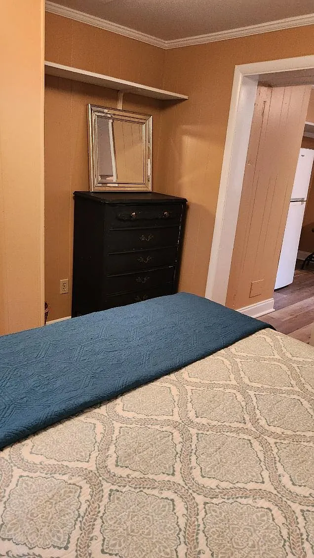 1 bed, 600 sqft, $1,250 — Photo 3