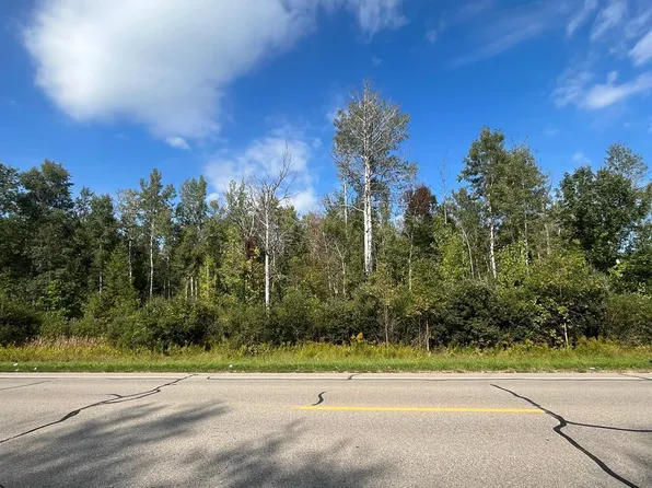 0 W Saginaw Rd, Coleman, MI 48618