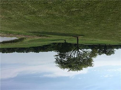 2004243_1