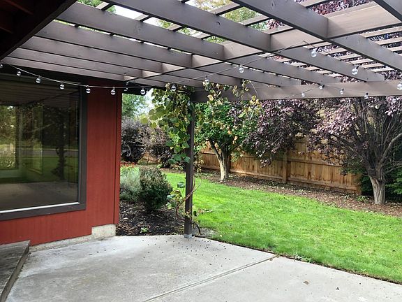 2 mature grape vines provide shade and sweet, concord grape!