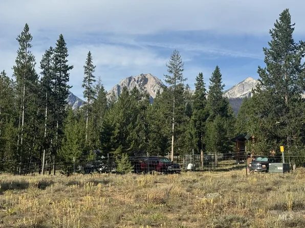 39 Lodgepole Ln, Stanley, ID 83278