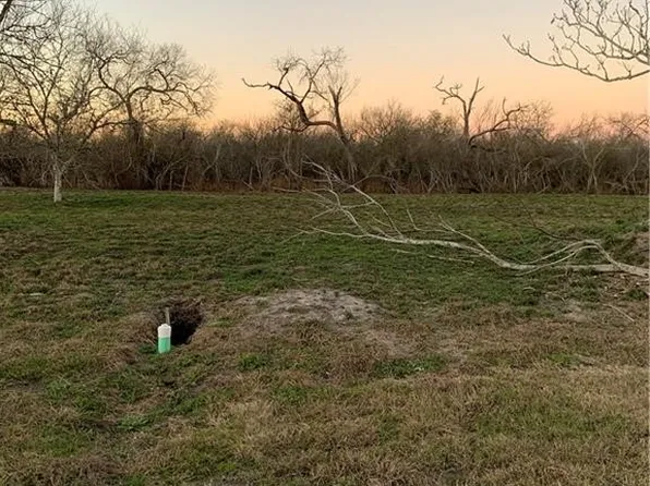 211 E Saint Marys, Skidmore, TX 78389