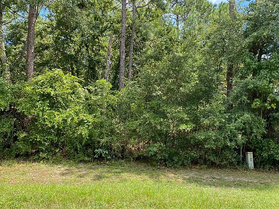 3rd image of LOT 19 County Road 136