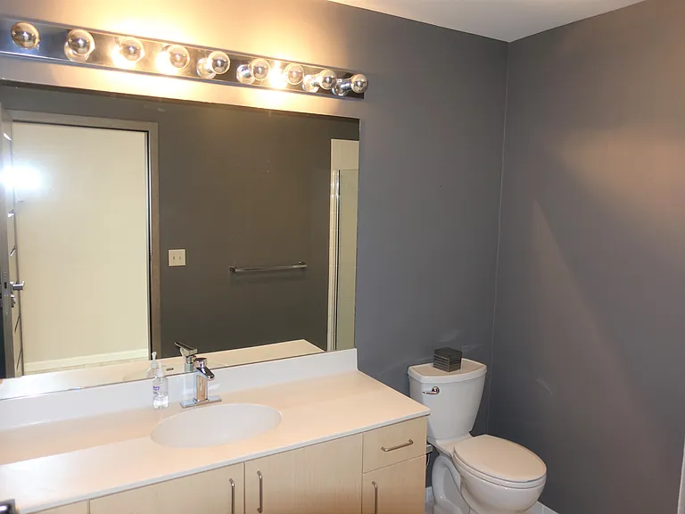 1620 S Michigan Ave #805 — Photo 17