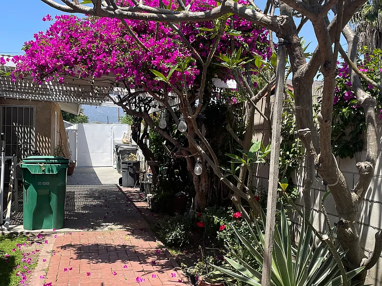 Walkway to studio
