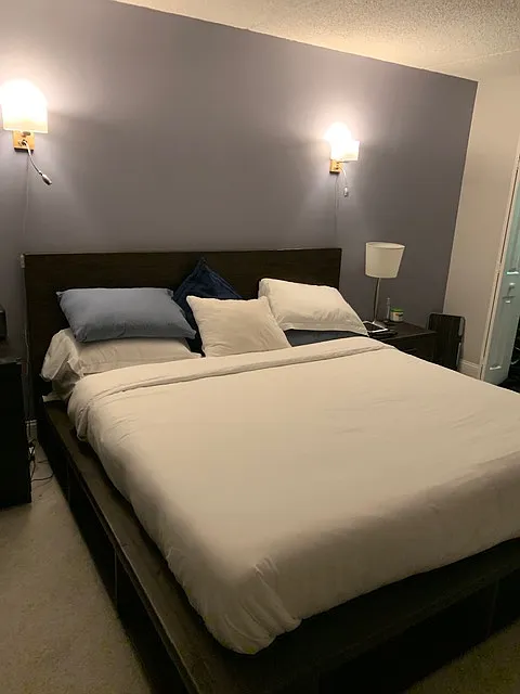 1 bed, 800 sqft, $2,450 — Photo 2