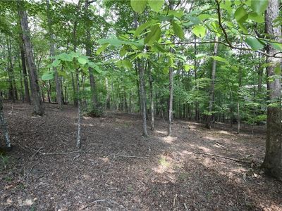 125 Bear Dr LOT 22, Waleska, GA, 30183