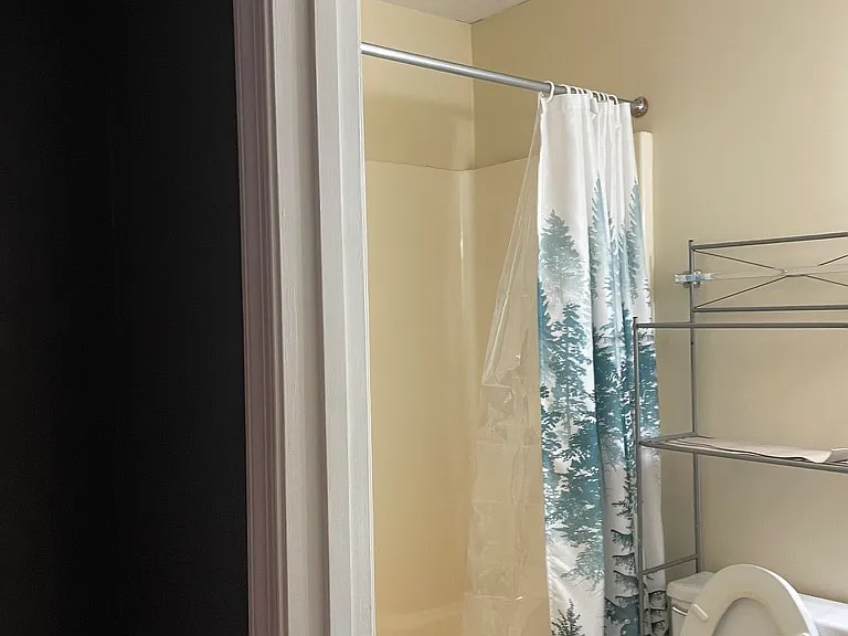Bathroom in the master bedroom