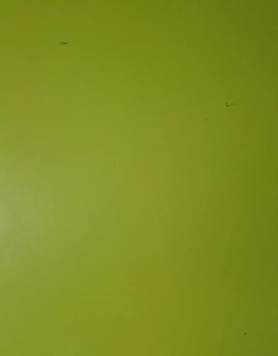 3 bed, 815 sqft, $1,300 — Photo 4