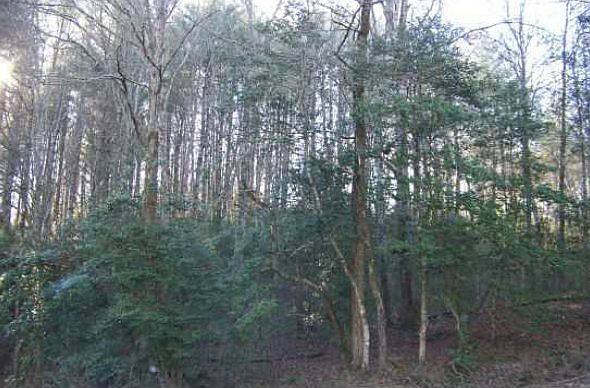 2nd image of Dickey Rd