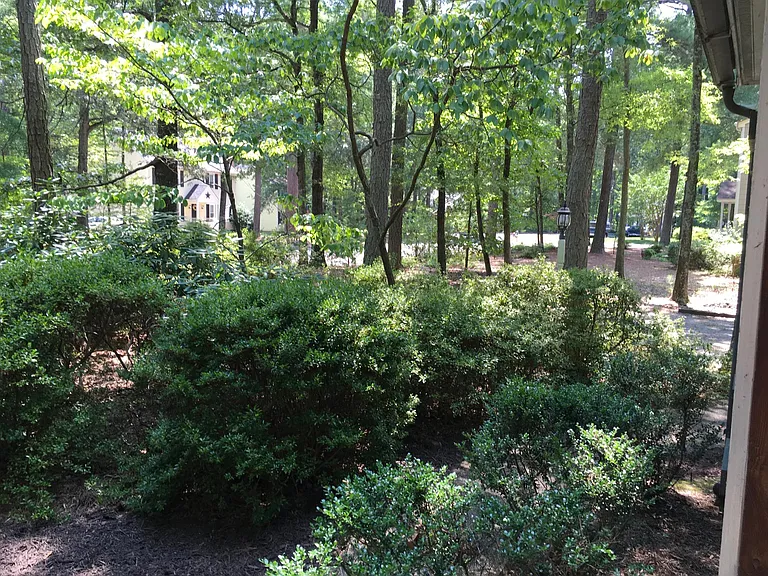 View from front porch. Large bed of mature azaleas in the front yard.