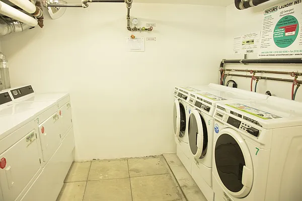 Rented by Distinct NYC | media 81