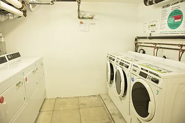 Rented by Distinct NYC