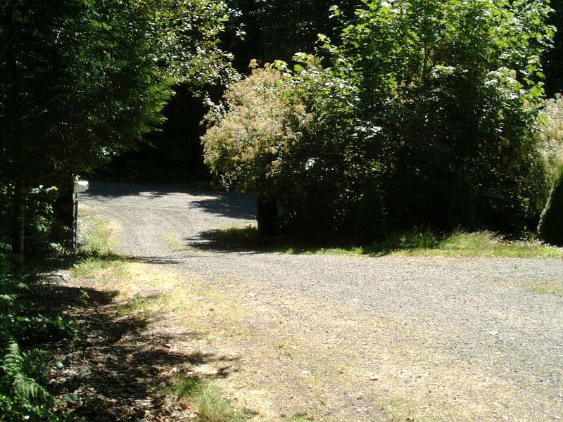 Driveway from RV parking