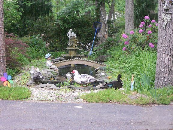 Center of circular driveway