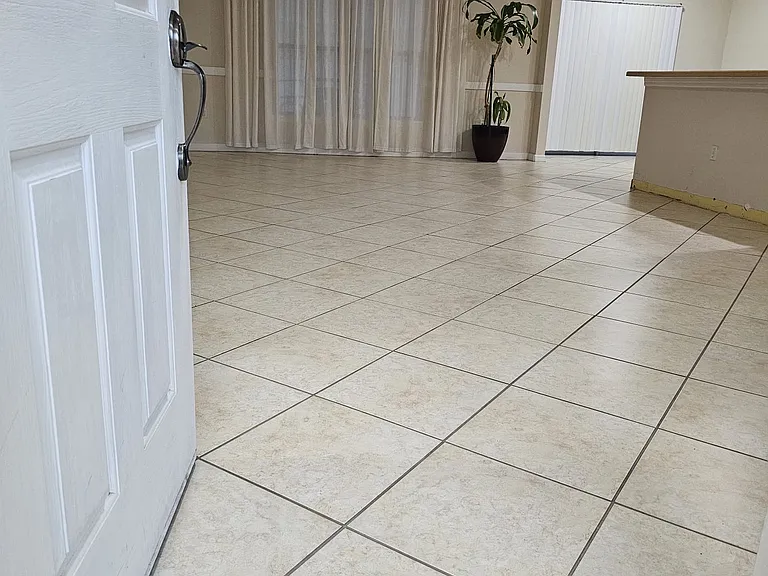 3805 Blue Dasher Dr — Photo 10