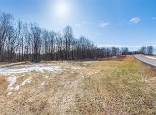 161 White Sulphur Road, Swan Lake, NY 12783