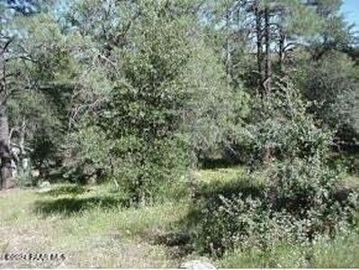LOT 2 W Hoover St, Prescott, AZ, 86303