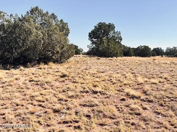 296S E Rocky Top Rd, Seligman, AZ 86337