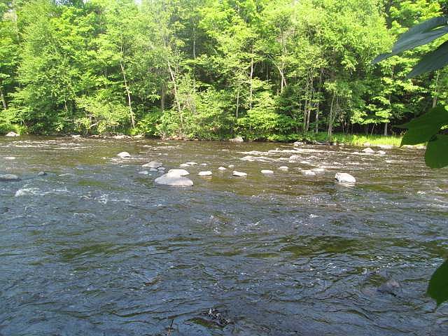 1st image of ON BLUEBIRD RD #484 ACRES